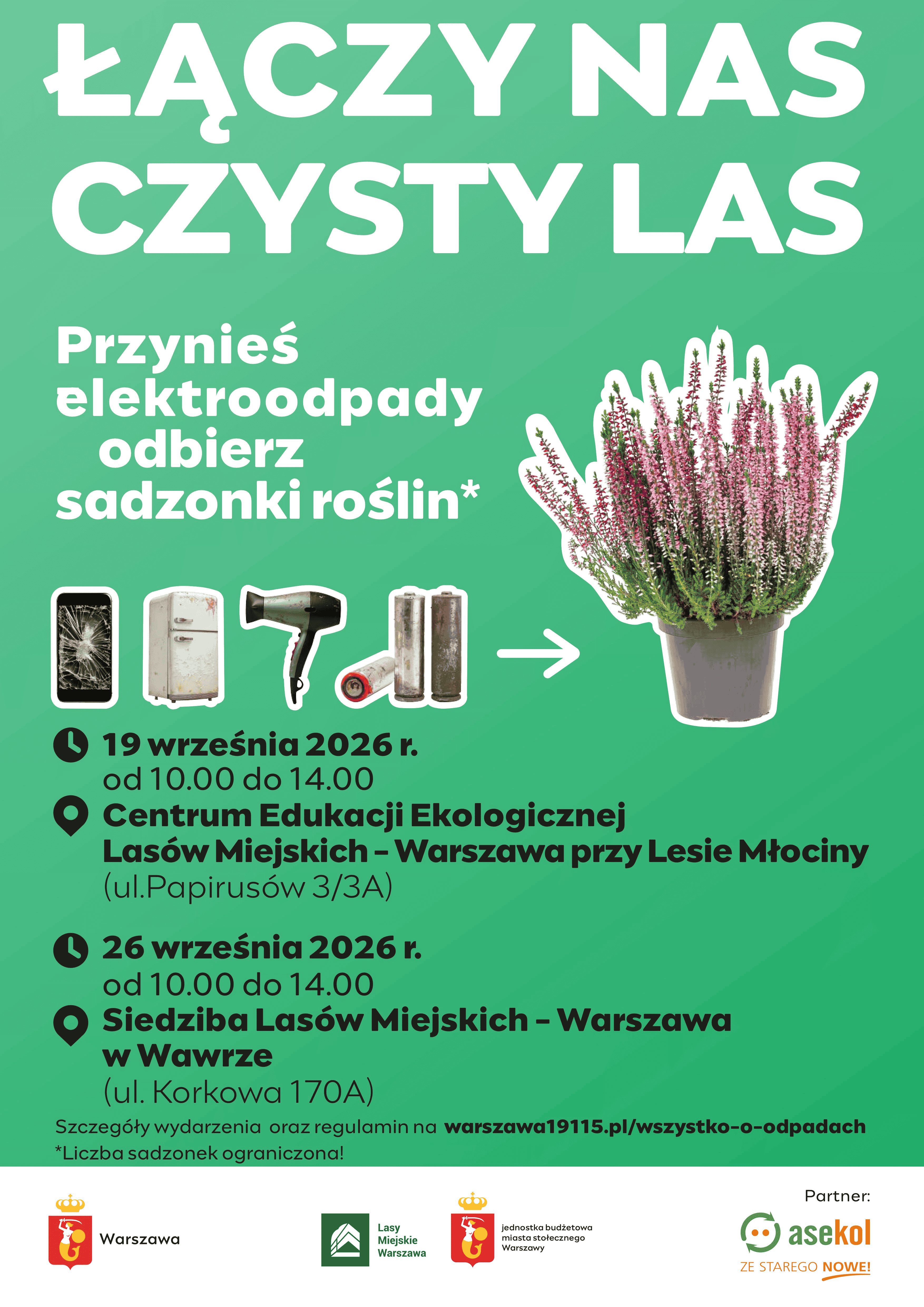 czysty las plakat