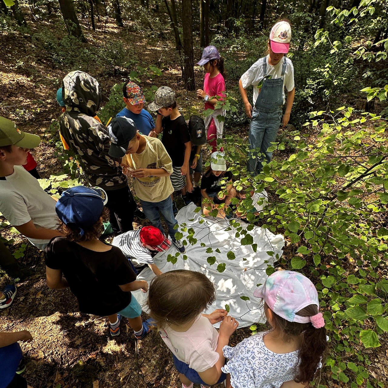 Warszawiacy wykazali się ogromnym zainteresowaniem naszą ofertą edukacyjną w 2025 r. Osiągnęliśmy…